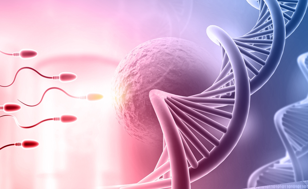 What Kills Sperm in the Female Body? Understanding Natural and Medical Barriers to Fertilization
